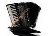 Scandalli Polifonico IX 37 key 96 bass 37 Key 96 bass accordion.  Midi systems available.